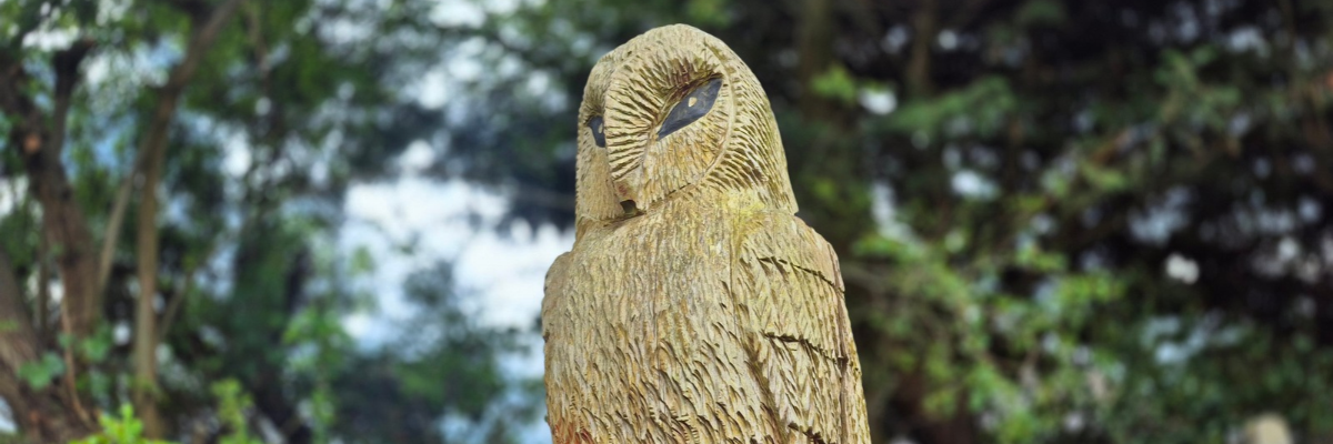WIX banner photo 3x1 (21) Owl sculpture in Frampton Cotterell